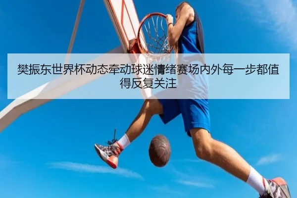 樊振东世界杯动态牵动球迷情绪赛场内外每一步都值得反复关注